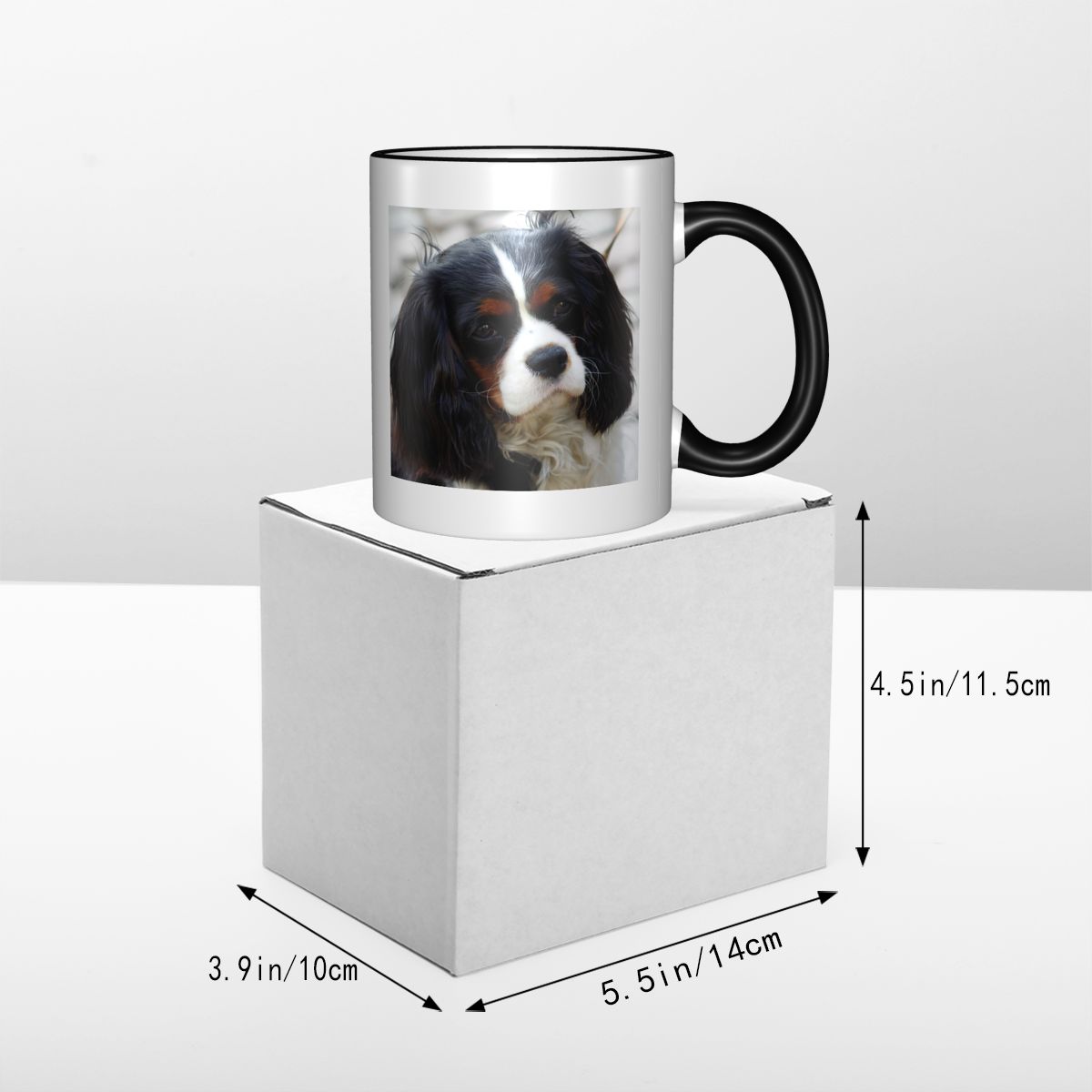 トリカラー キャバリア キングチャールズ スパニエル 写真入 - Coffee Tea Photos のレビューと価格